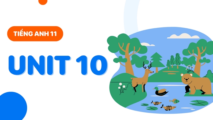 Biết nhiều tiếng Anh 11 Unit 10 Từ Vựng là bước đầu tiên giúp bạn tiếp cận và hiểu nội dung bài học