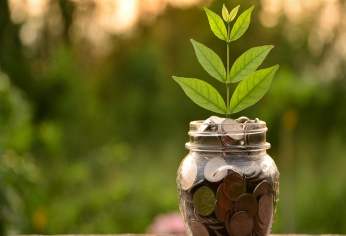 Yêu cầu bài 2 tiếng Anh 11 Unit 10 Writing là trình bày bài luận về quan điểm có nên đầu tư tiền để phục hồi hệ sinh thái