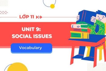 tiếng Anh 11 Unit 9 từ vựng