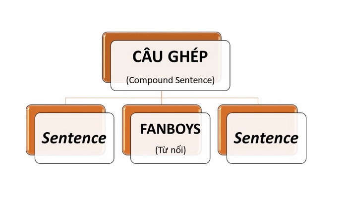 Cấu trúc chung của câu ghép
