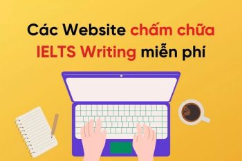 website chấm bài
