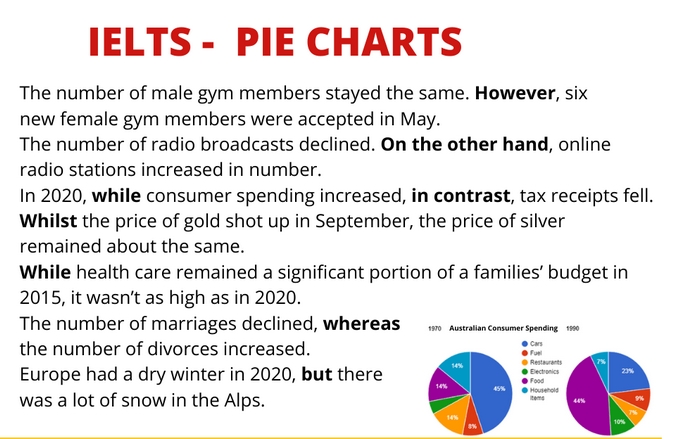 Một ví dụ mô tả Pie Chart trong IELTS Writing Task 1