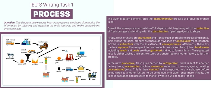 Một ví dụ mẫu của dạng bài IELTS Writing Task 1 Process