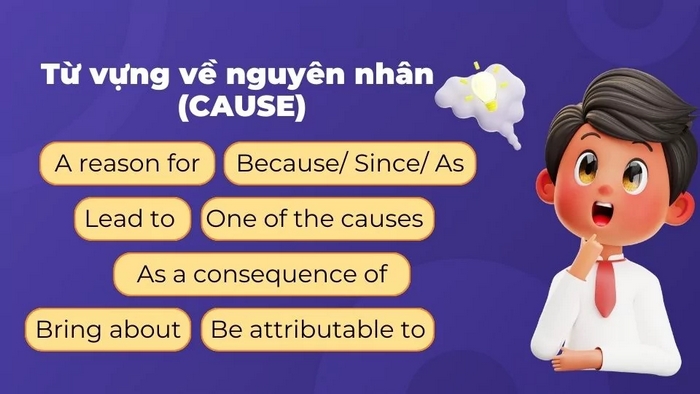 Một số từ thường được dùng để chỉ Nguyên nhân trong bài luận Cause & Effect