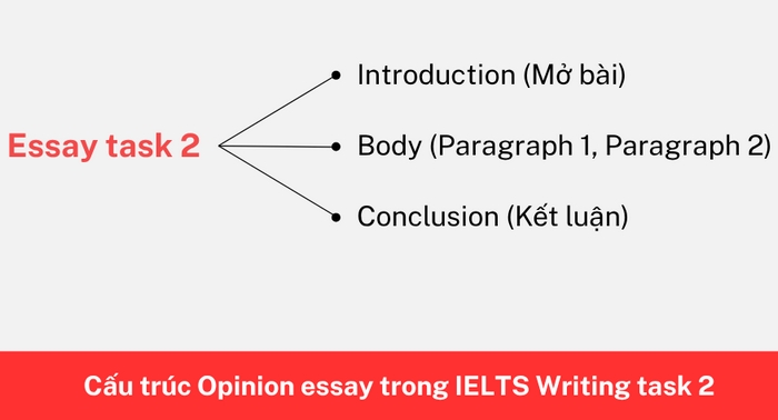 Phần thân bài Writing Task 2 Opinion Essay nên triển khai 2–3 đoạn tùy chiến lược làm bài