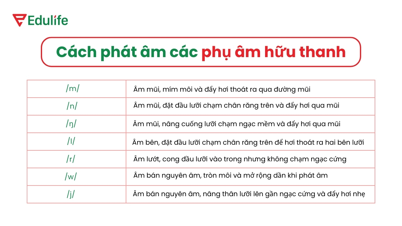 Cách đọc các phụ âm hữu thanh trong tiếng Anh