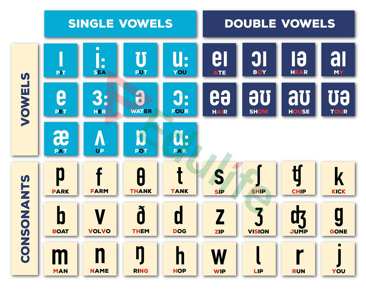 Bảng phiên âm tiếng Anh IPA đầy đủ 20 nguyên âm và 24 phụ âm