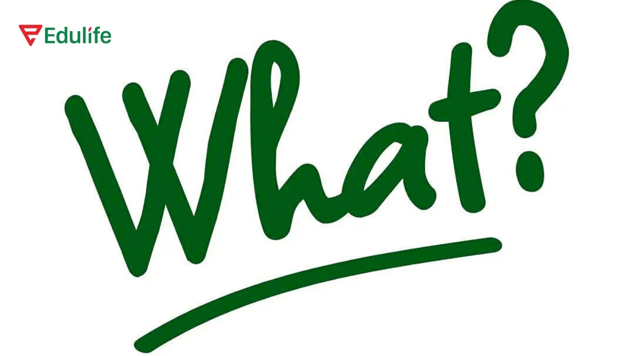 Chỉ nói “What?” trong tiếng Anh dễ bị đánh giá là thô lỗ 