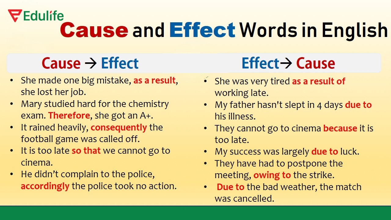 Dựa vào mối quan hệ nguyên nhân kết quả 