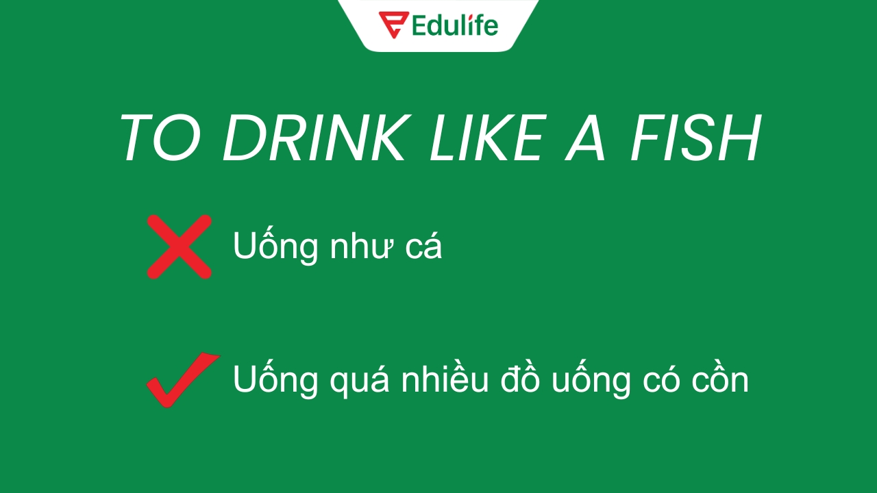Một số trường hợp không nên dịch word-by-word vì sẽ làm câu sai nghĩa