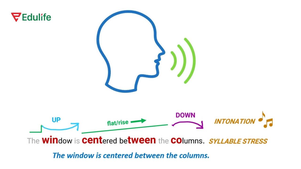 Ngữ điệu (Intonation) là sự lên, xuống của độ cao giọng nói trong khi giao tiếp