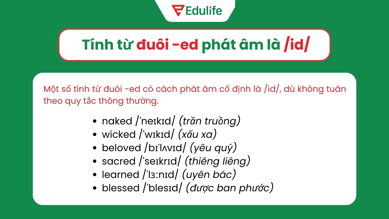 Những tính từ đuôi /-ed/ luôn phát âm là /id/