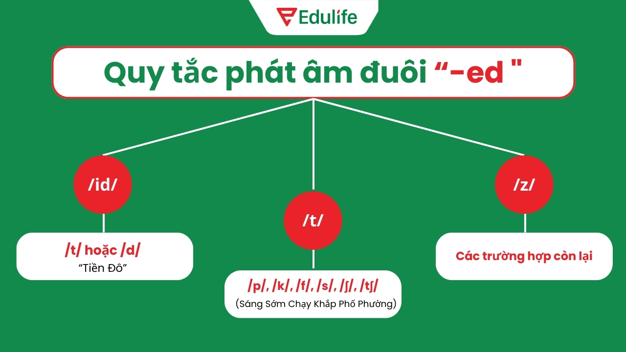 Quy tắc phát âm đuôi /-ed/