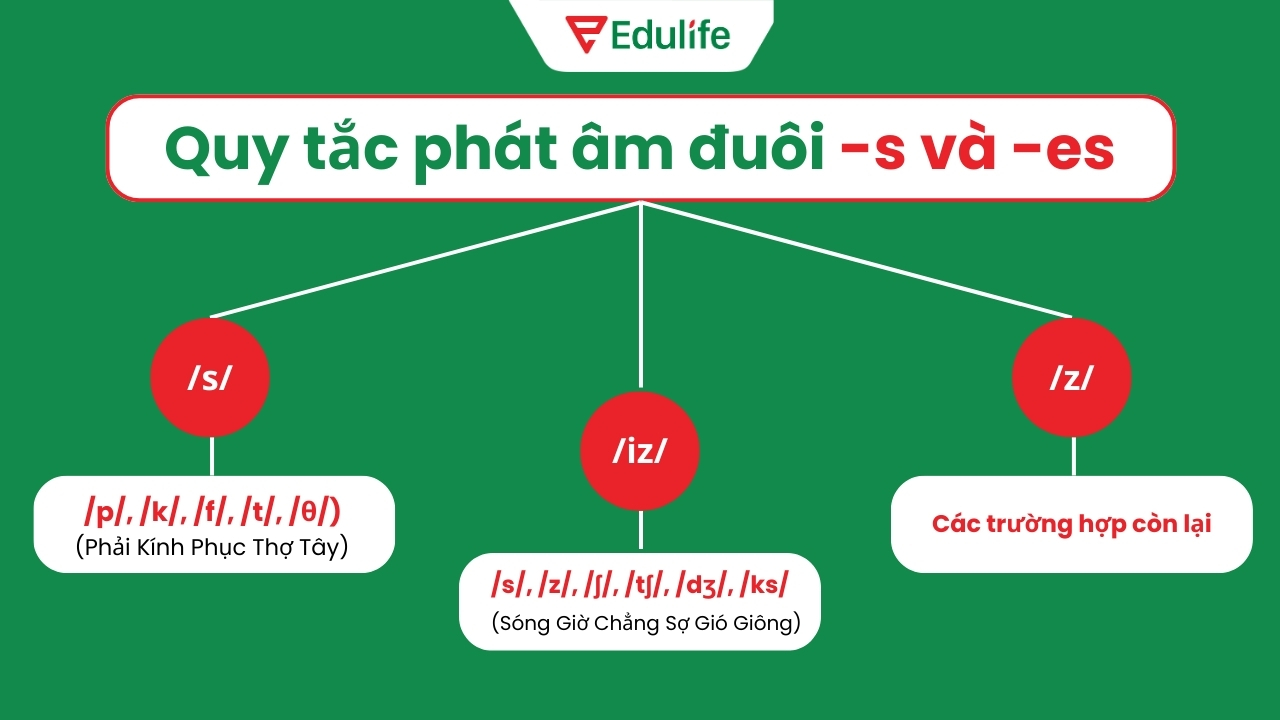 Các quy tắc phát âm đuôi /-s/ và /-es/