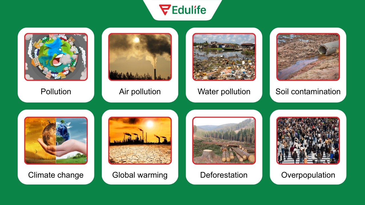 Từ vựng tiếng Anh về các vấn đề môi trường