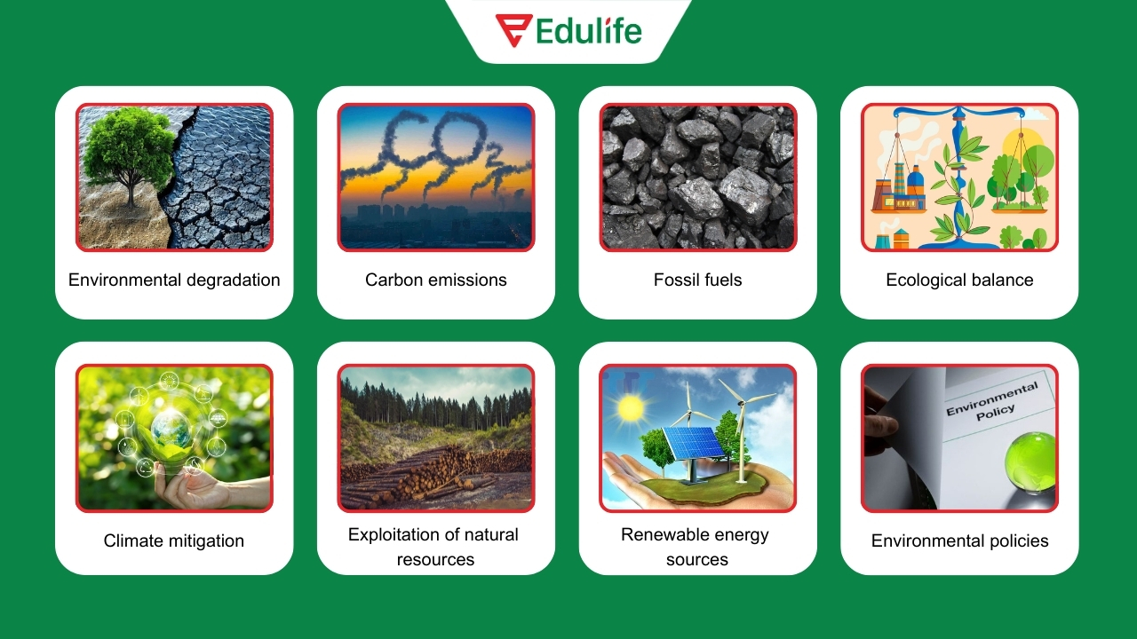 Từ vựng Topic Environment nâng cao