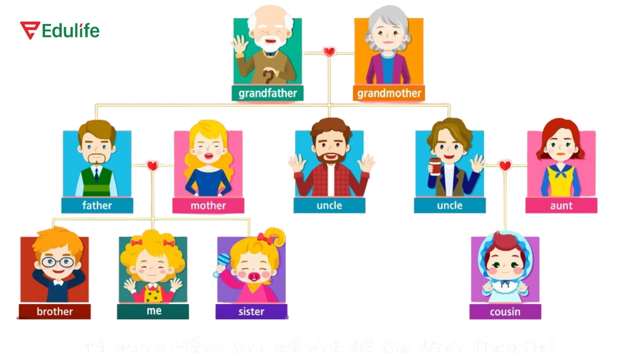 Từ vựng tiếng Anh chỉ các thành viên trong gia đình