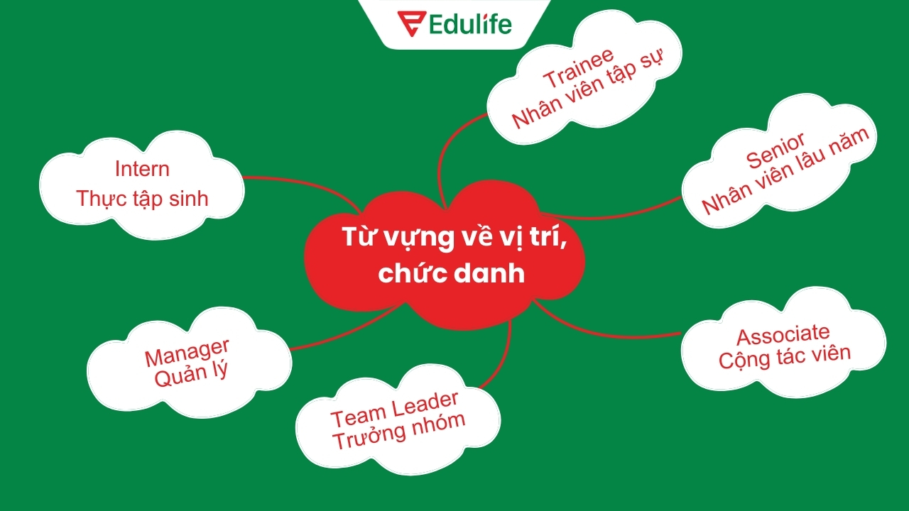 Những từ vựng về môi trường làm việc 