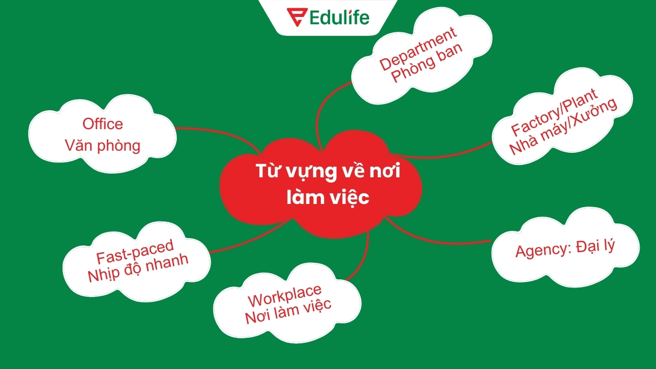 Những từ vựng về vị trí, chức danh