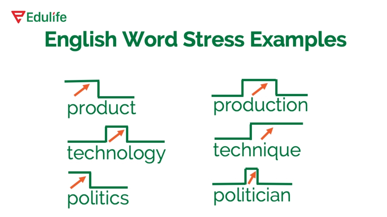 Trọng âm từ là âm tiết được nhấn mạnh nổi bật hơn các âm tiết còn lại