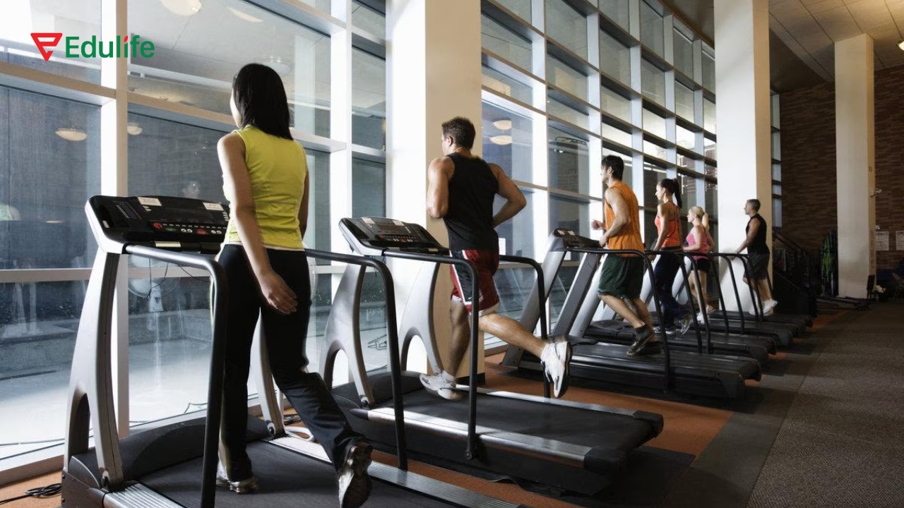 Bài tập đọc hiểu trình độ trung cấp