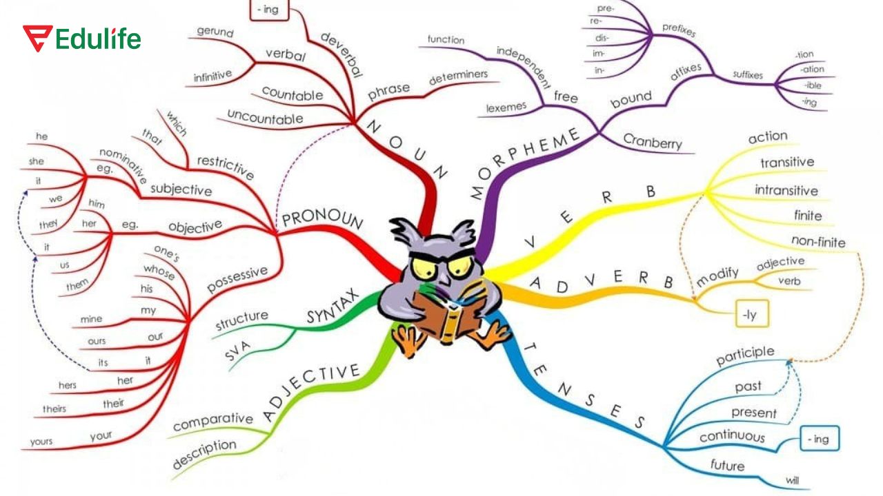 Nếu đang ở trình độ A1 - A2 thì bạn nên tập trung ôn lại các cấu trúc ngữ pháp