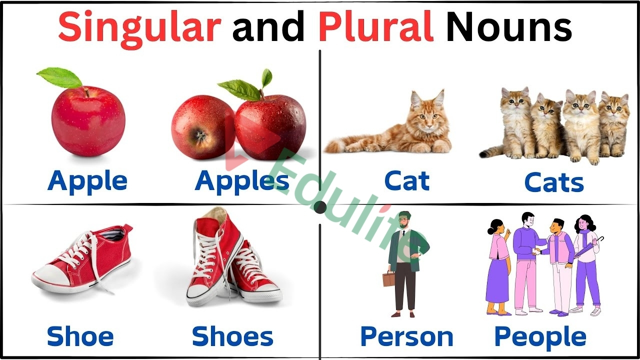 Cần chú ý đến danh từ số nhiều, số ít khi làm bài