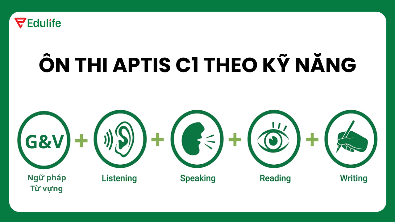 Ôn thi APTIS C1 phải đều cả 5 phần