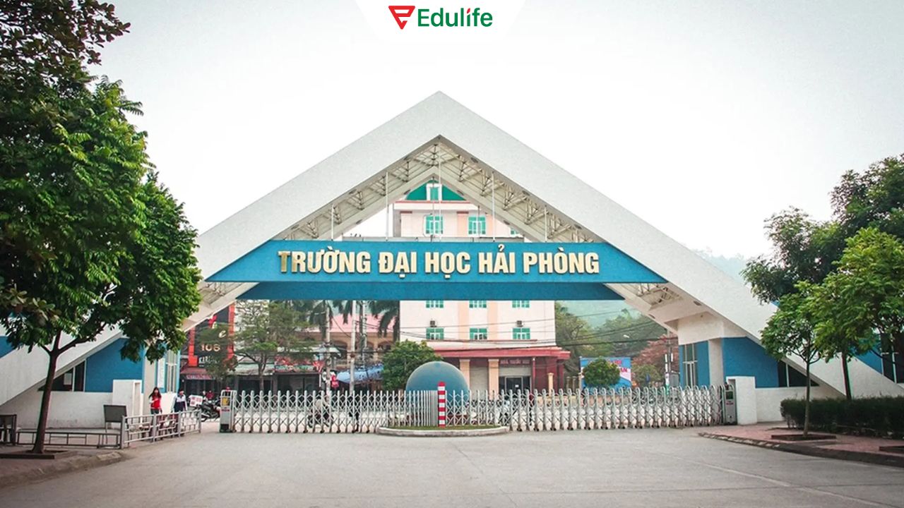 Đại học Hải Phòng địa chỉ luyện thi VSTEP môi trường học thuật bài bản, chuyên nghiệp