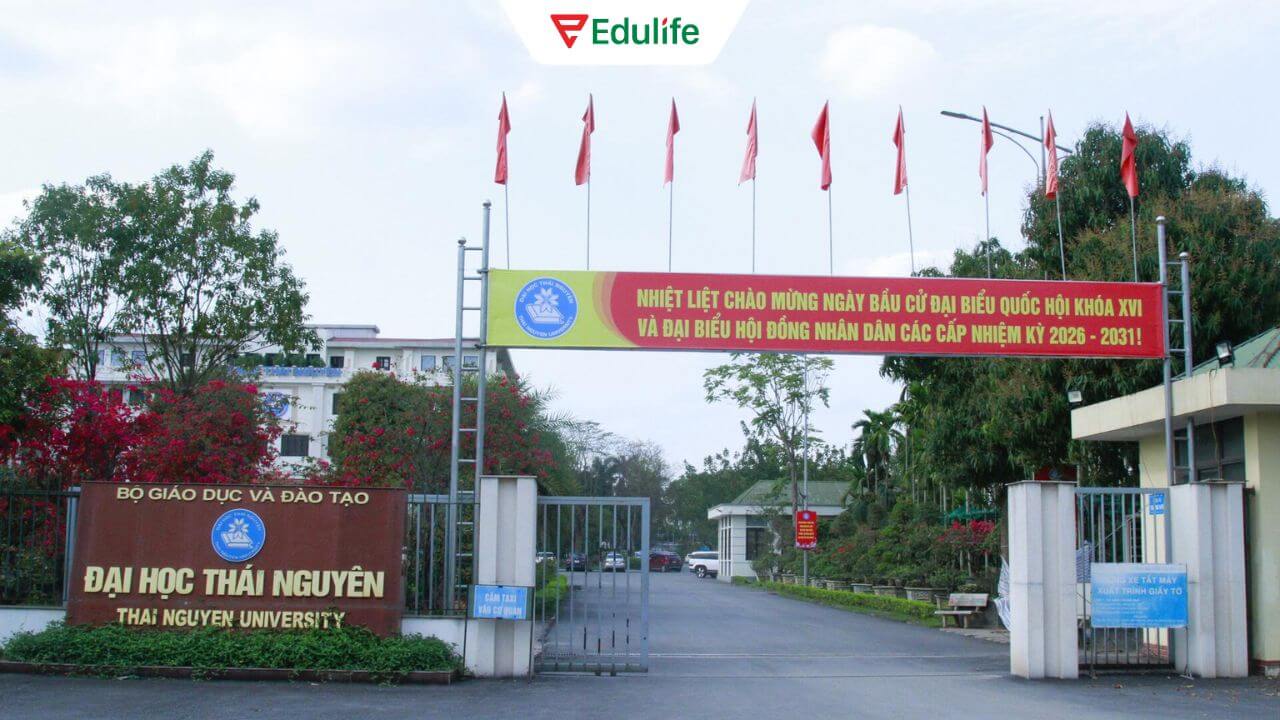 Đại học Thái Nguyên là địa chỉ luyện thi VSTEP phù hợp cho các học viên tại khu vực Đại học Thái Nguyên là địa chỉ luyện thi VSTEP phù hợp cho các học viên tại khu vực