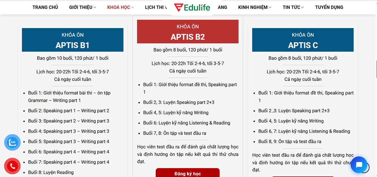 Trung tâm Citi English tổ chức đa dạng khóa học