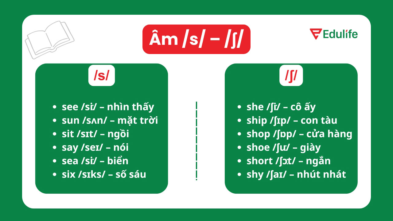 Âm /s/ và âm /ʃ/ có sự khác nhau rõ rệt