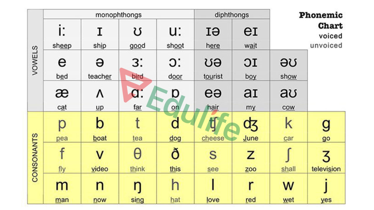  44 âm IPA trong tiếng Anh