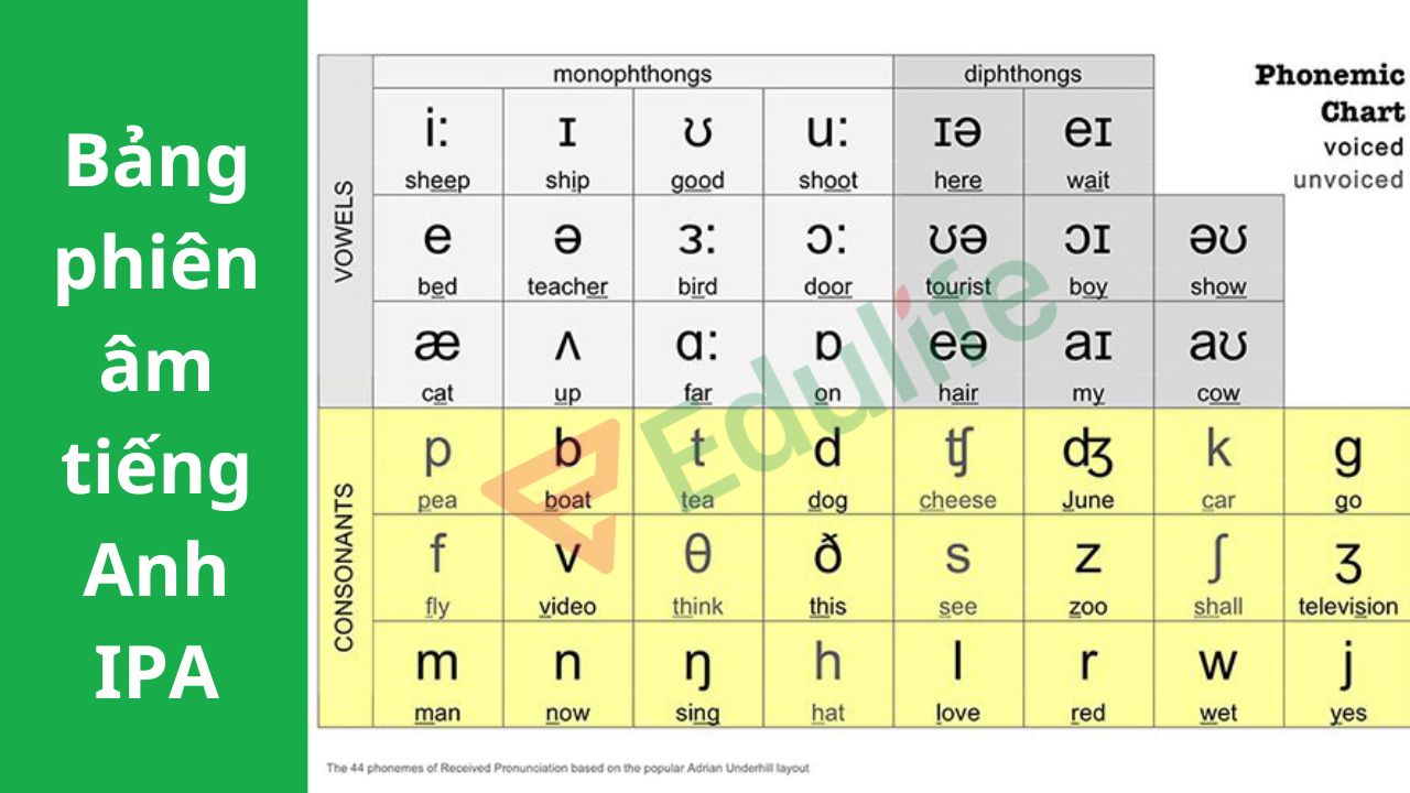 Luyện phát âm chuẩn theo IPA để xây dựng kỹ năng nghe - nói nền tảng