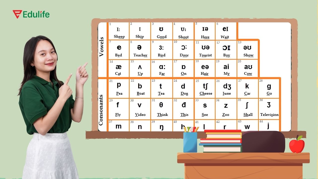 Luyện phát âm chuẩn theo IPA để xây dựng kiến thức nền tảng