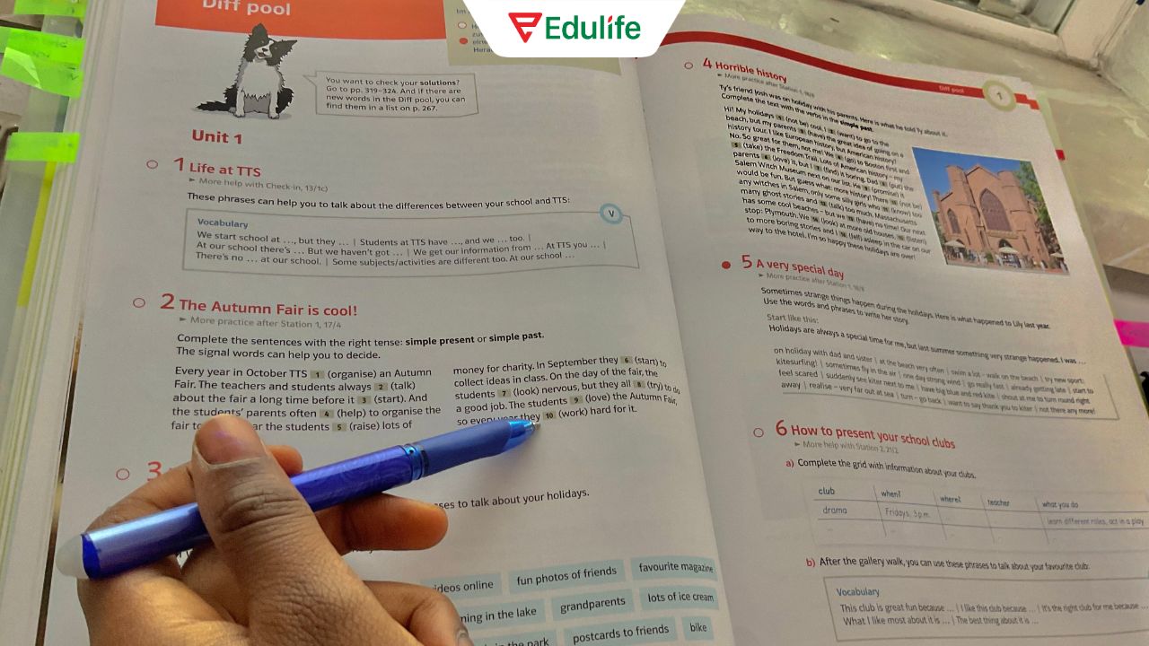 Luyện đọc hiểu tài liệu chuyên sâu để củng cố kiến thức nền tảng học thuật vững chắc