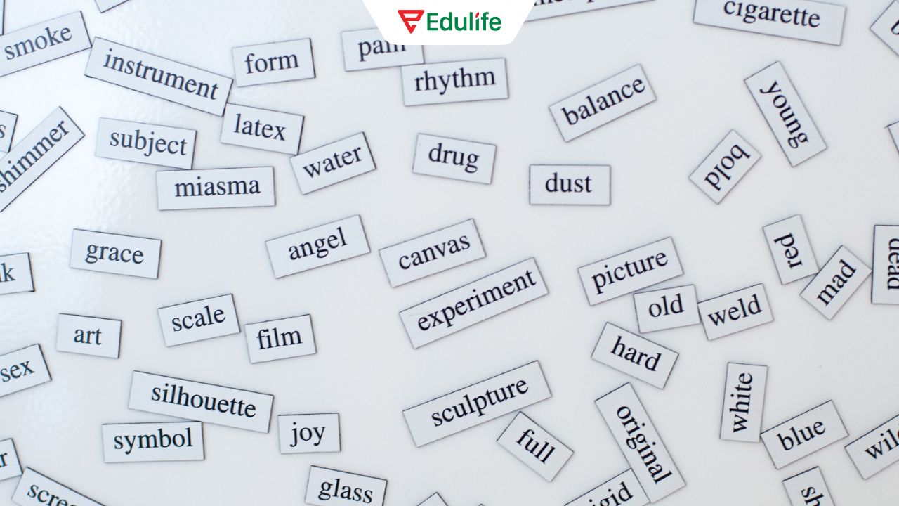 Nắm vững các từ vựng cốt lõi để xây dựng nền tảng tiếng Anh cơ bản