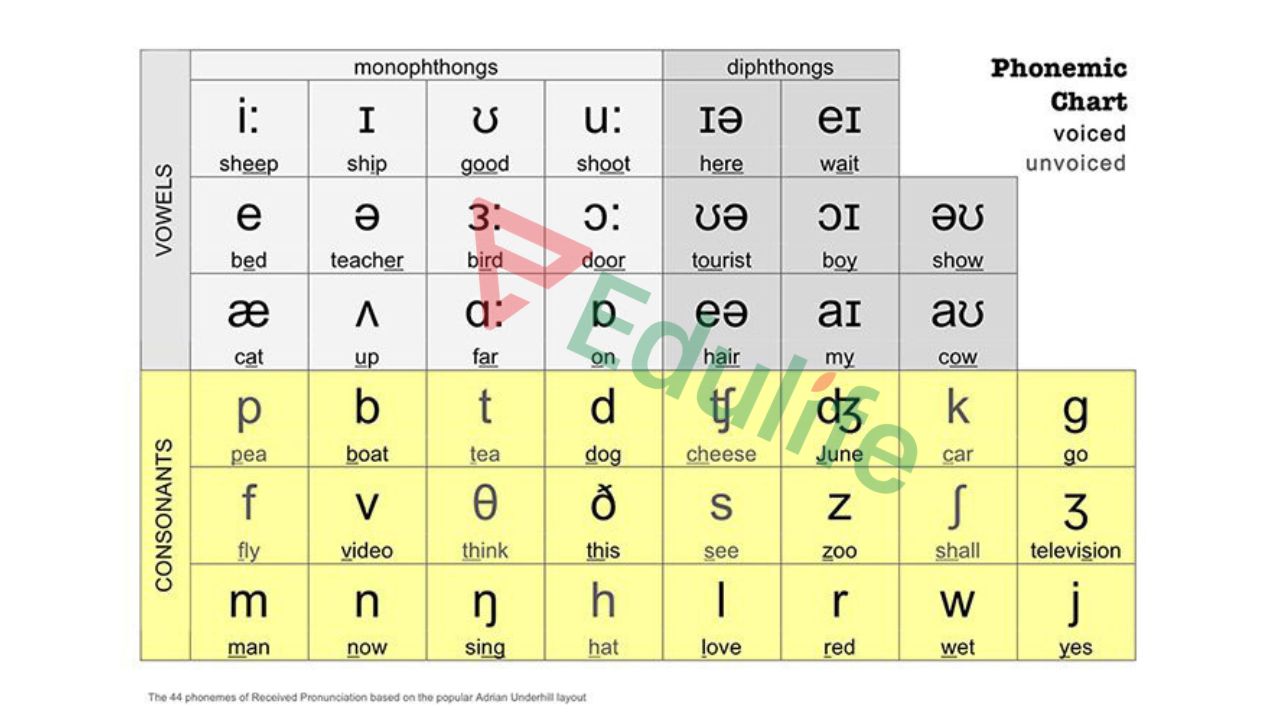 Luyện phát âm chuẩn IPA với những từ vựng cốt lõi để xây nền tảng vững chắc