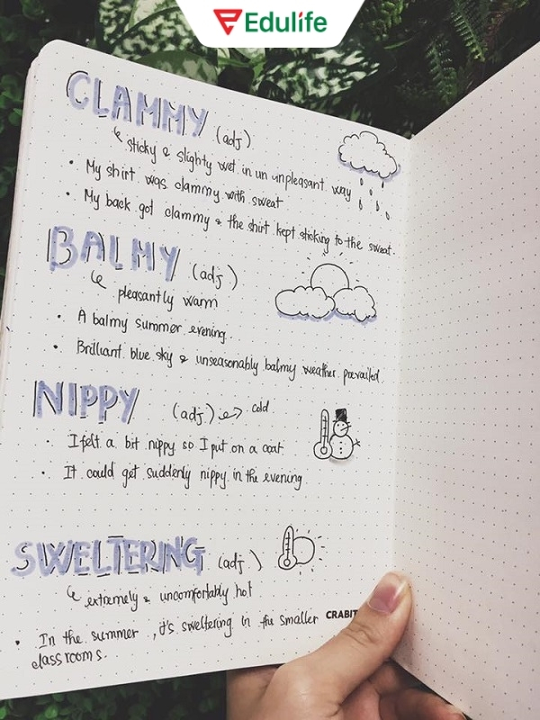 Luyện tập viết những câu đơn giản trước