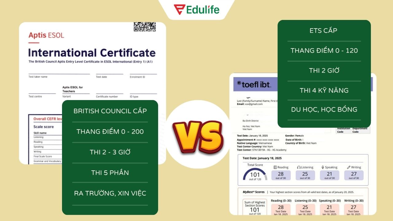 So sánh chứng chỉ Aptis ESOL và TOEFL iBT: Nên chọn loại nào phù hợp?