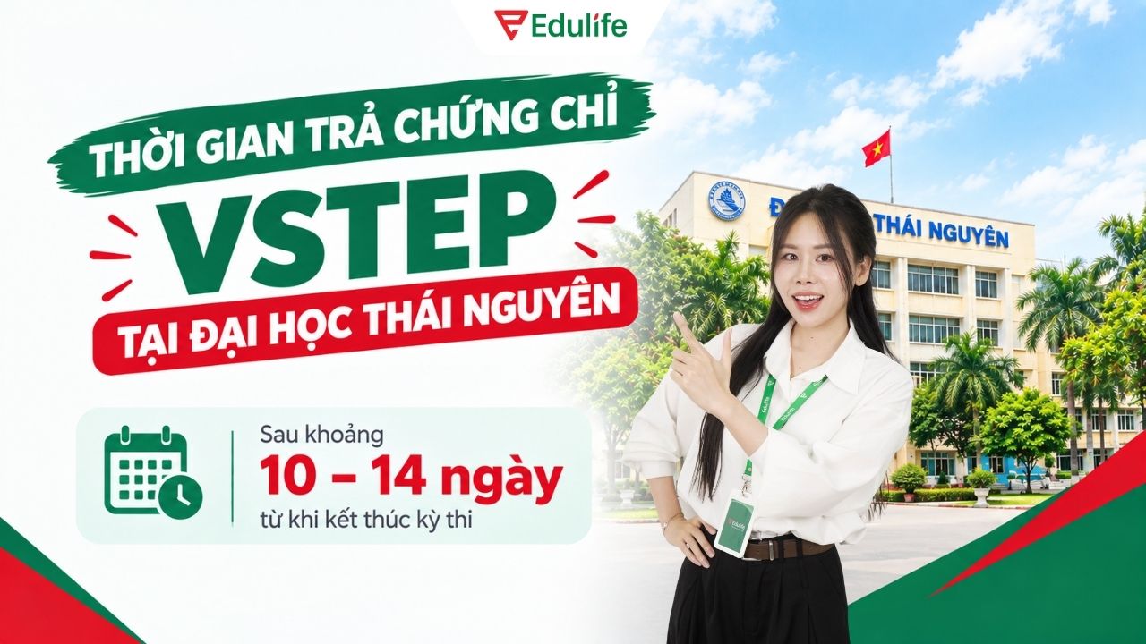 Đại học Thái Nguyên cấp chứng chỉ VSTEP sau khoảng 10-14 ngày kể từ khi kết thúc kỳ thi Đại học Thái Nguyên cấp chứng chỉ VSTEP sau khoảng 10-14 ngày kể từ khi kết thúc kỳ thi